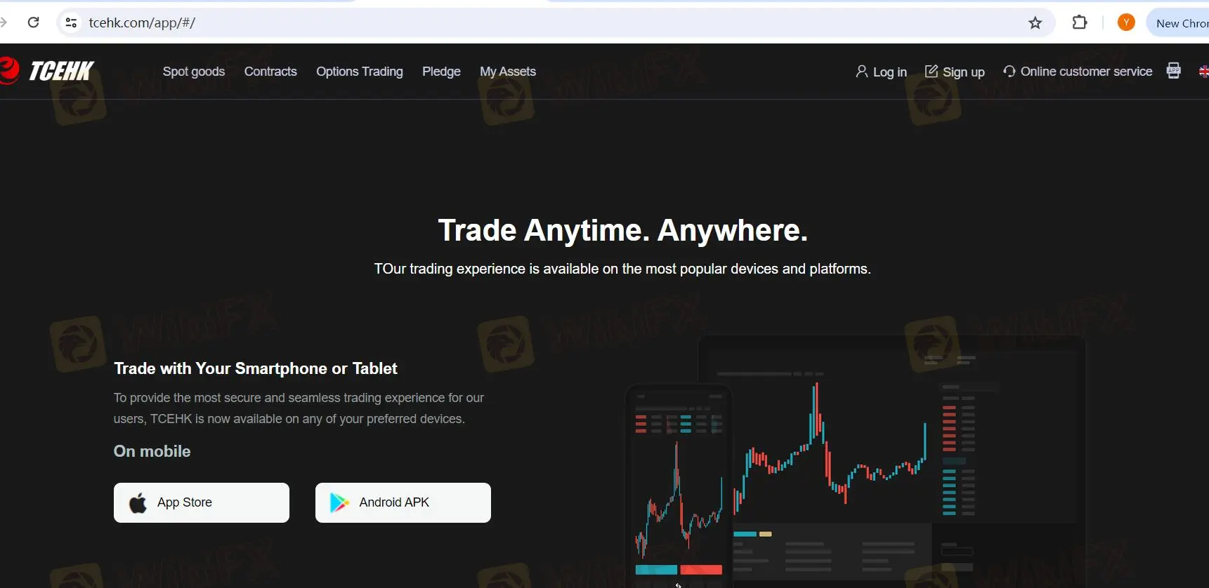 Trading Platforms