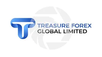 Treasure Forex概述