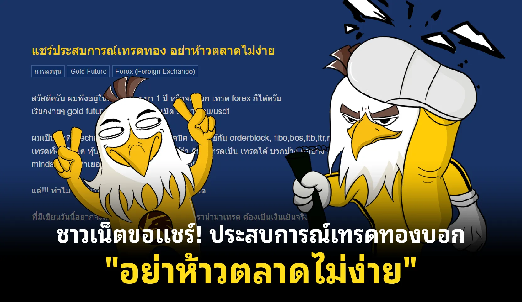 aw-09 (1).png aw-09 (1).png