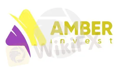 نظرة عامة على Amber Invest