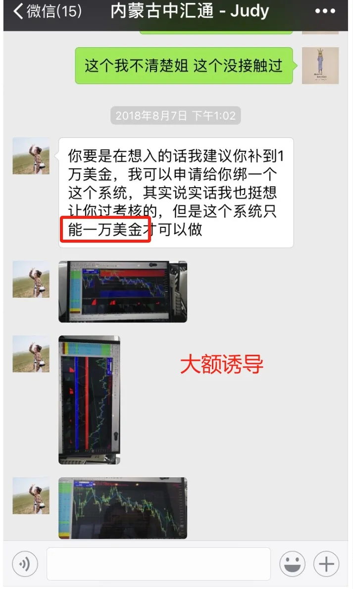 大额诱导.png