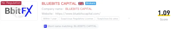 bluebits-capital.png bluebits-capital.png
