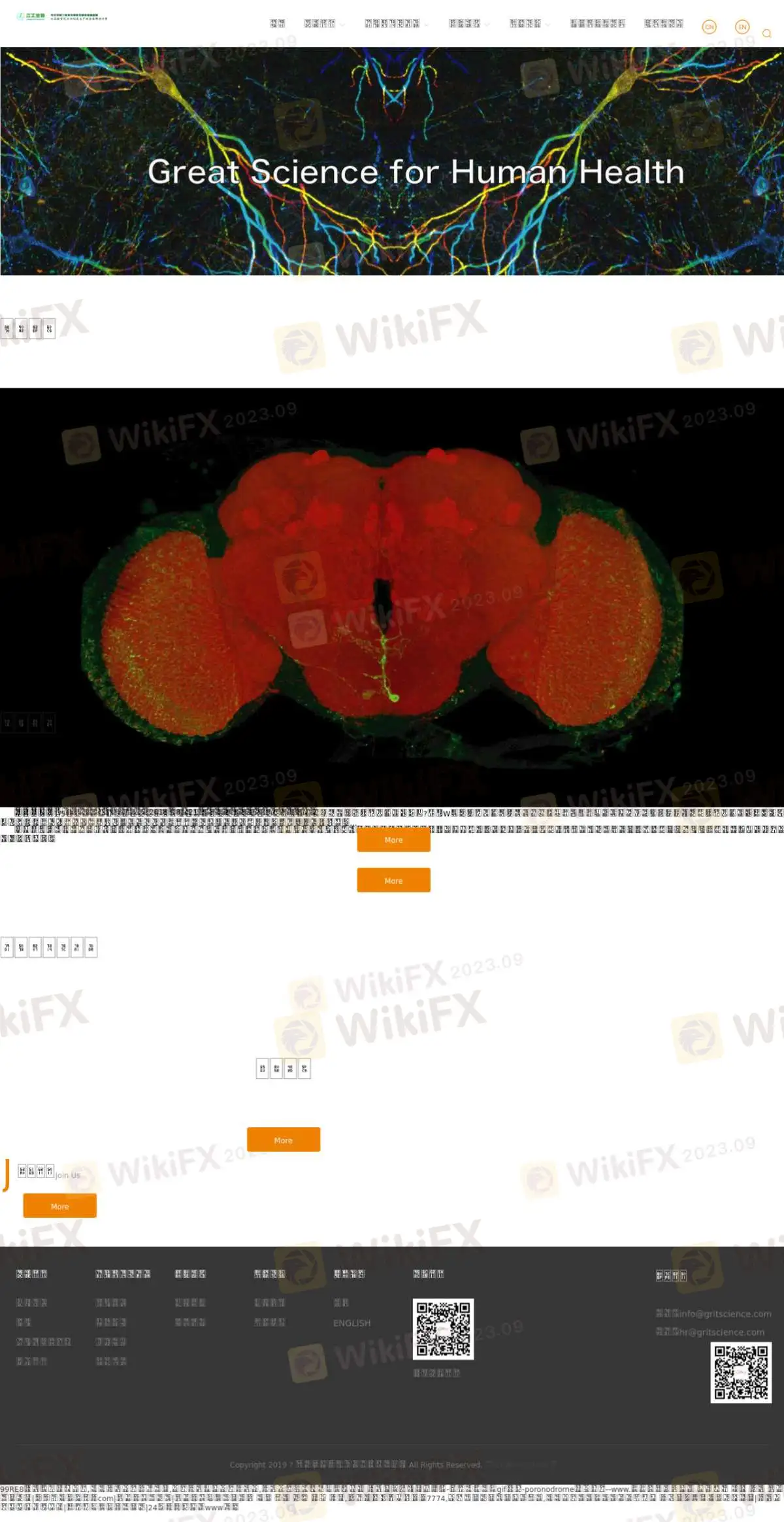 معلومات AIO