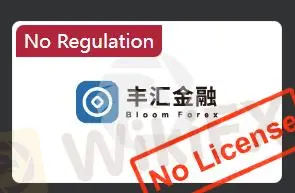 Is BLOOMS MARKETS Legit?