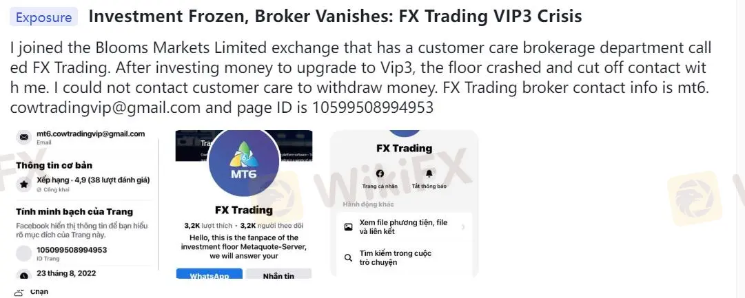 تقييمات سلبية لـ BLOOMS MARKETS على WikiFX