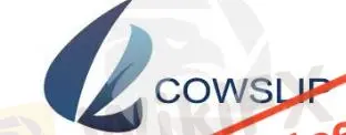 Информация о Cowslip Global