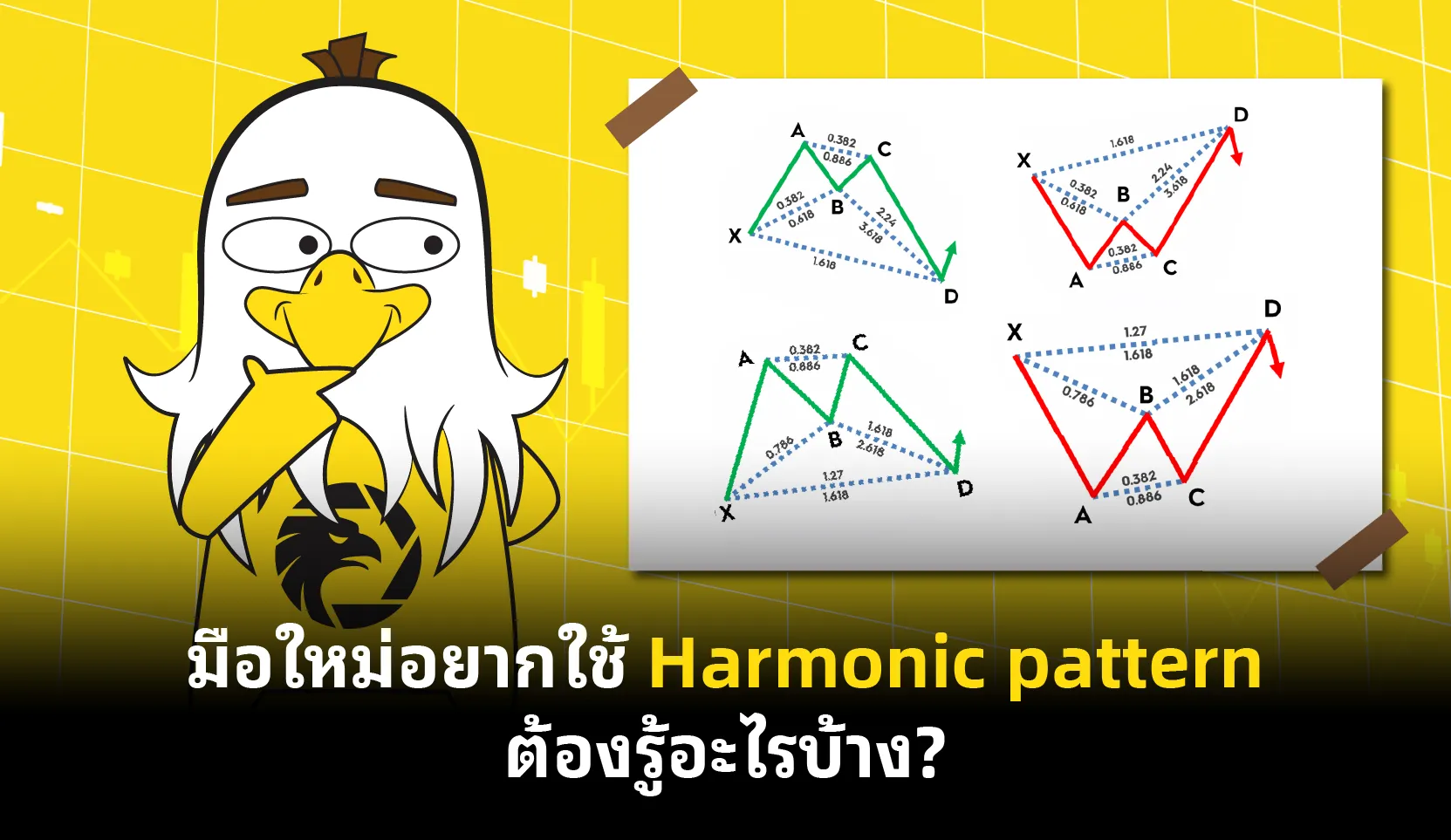 aw-05 (42).png aw-05 (42).png