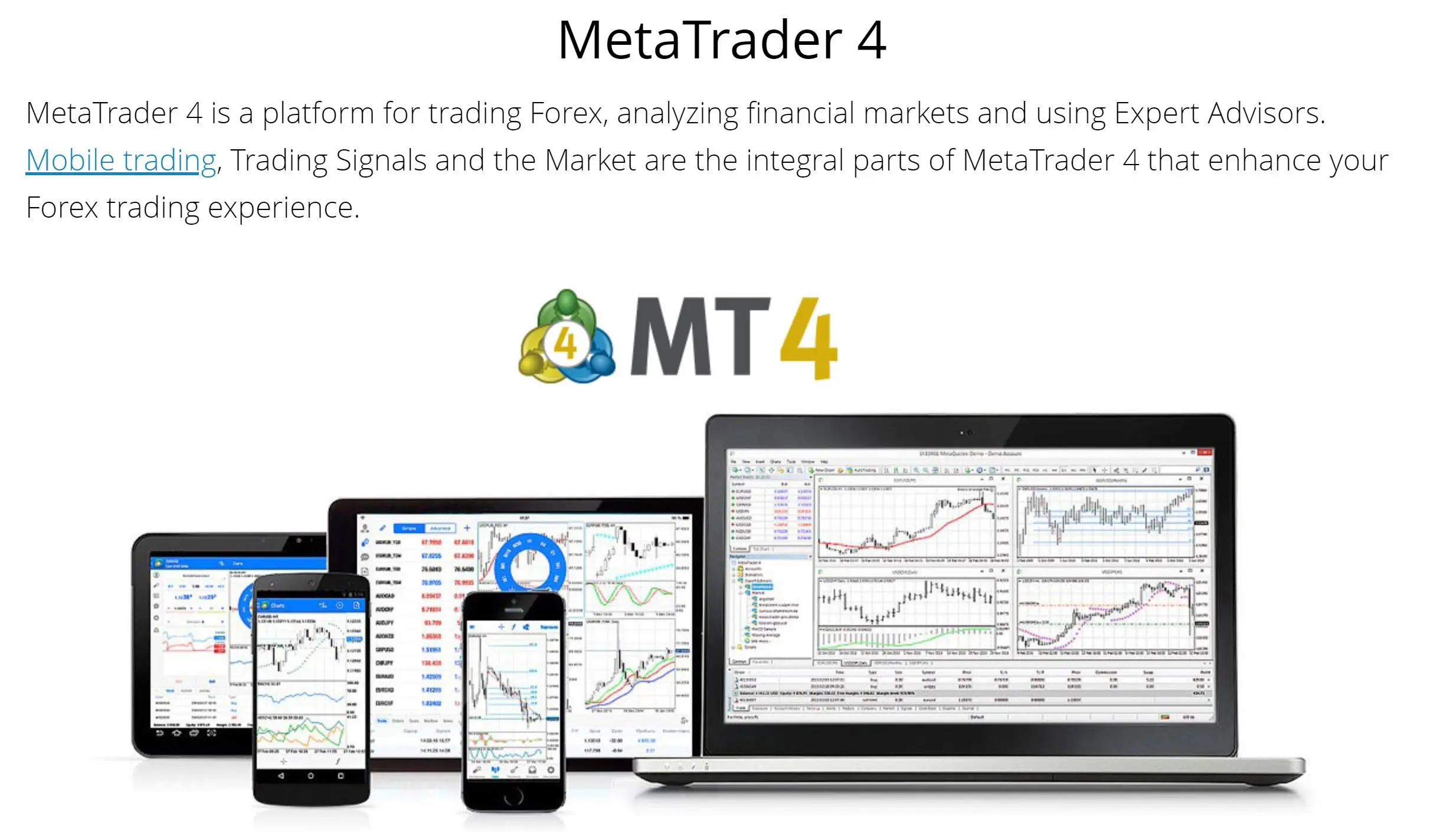MT4