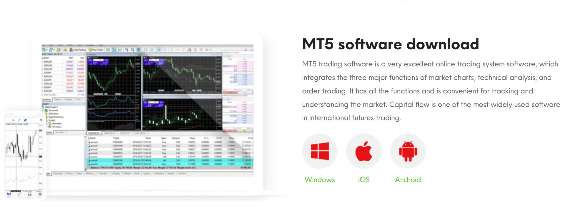 MT5