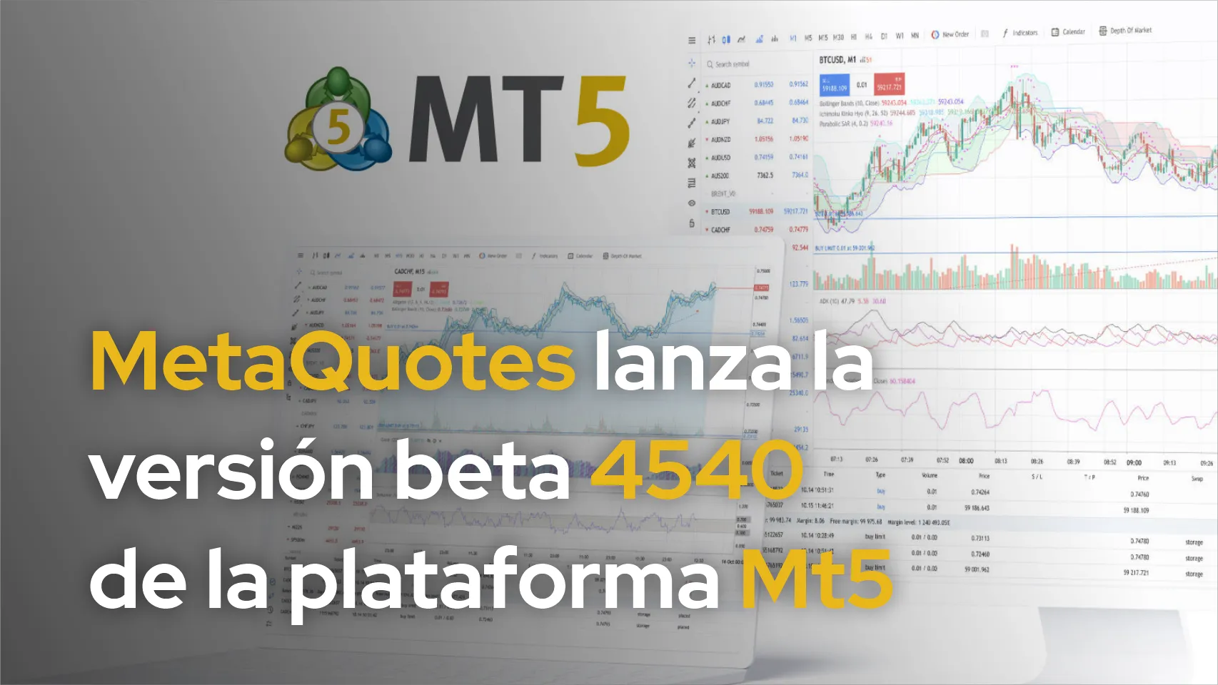 MT5 MT5