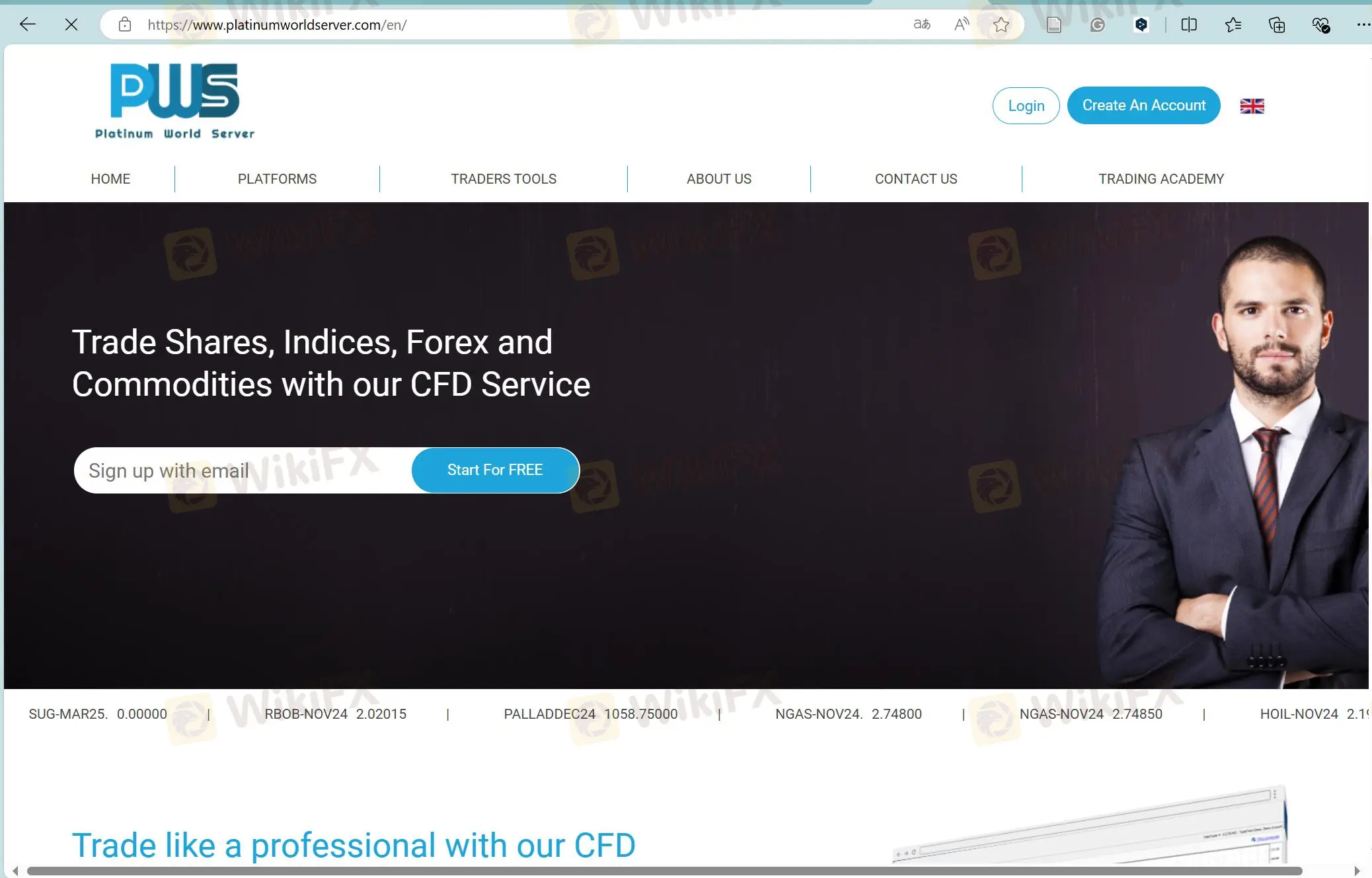 Platinum World Server's homepage