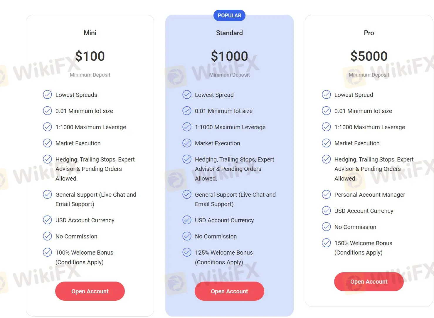 Comparação de Contas