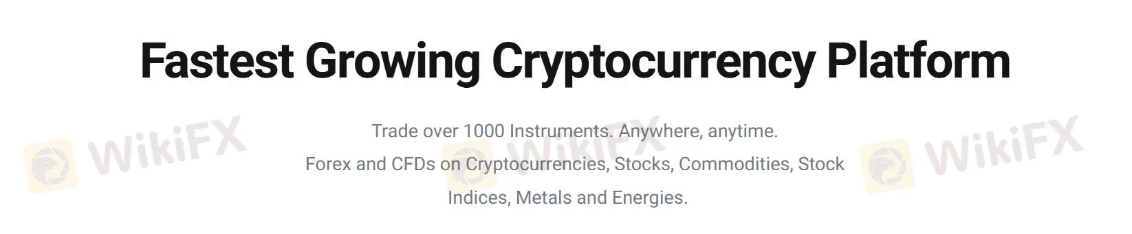 What Can I Trade on Foxiamix? What Can I Trade on Foxiamix?