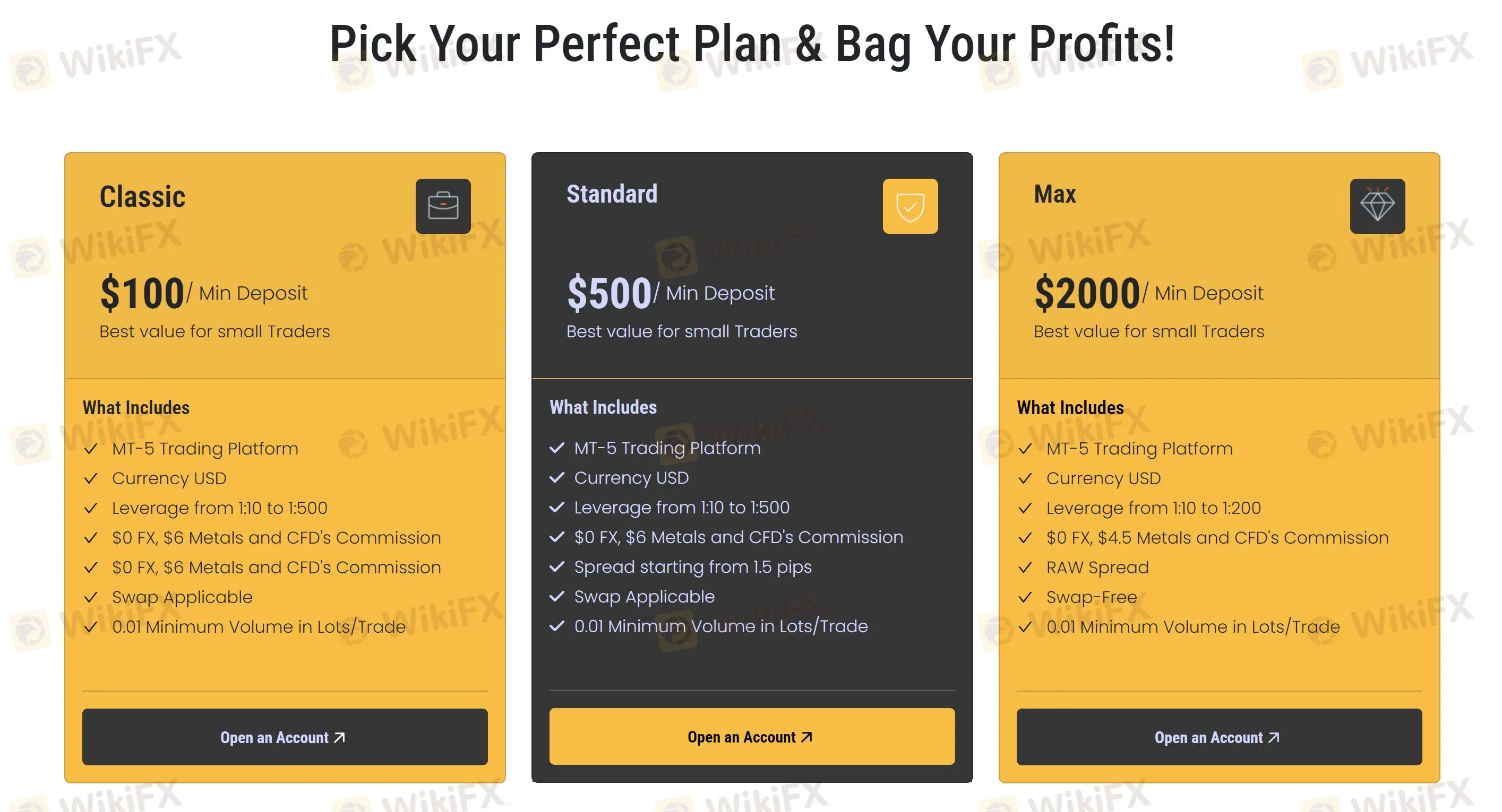 アカウントタイプ