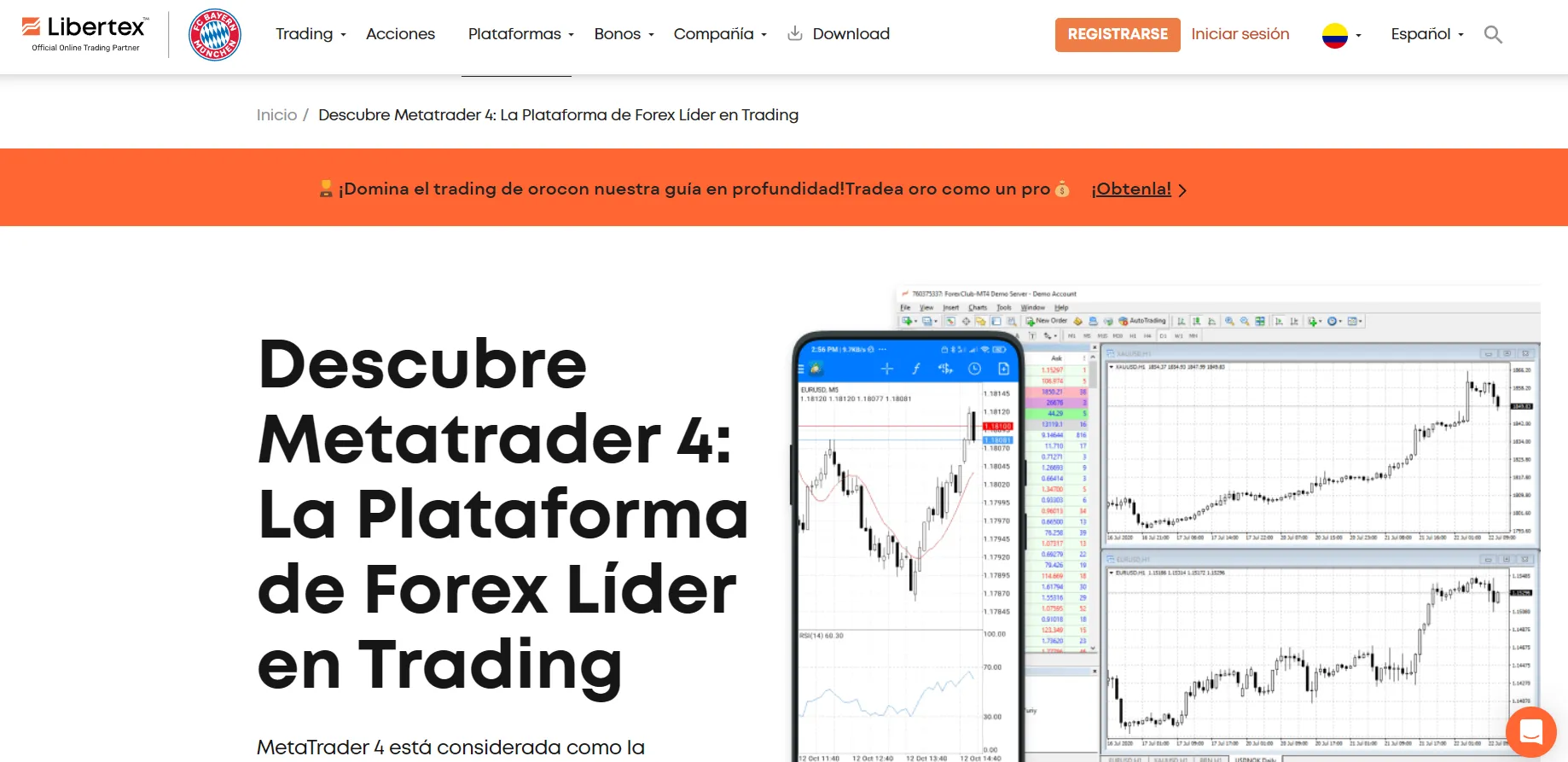 forex forex