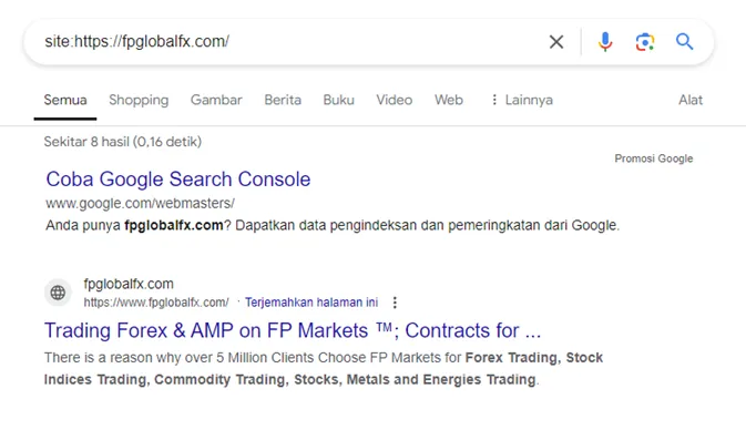 rekaman-indeks-situs-web-pada-hasil-pencarian.png
