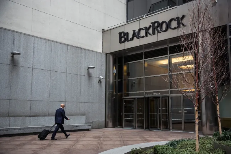 blackrock (1).jpg