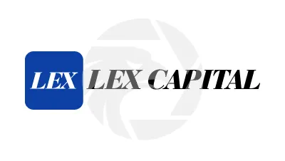 LEX C应用程序接口TAL