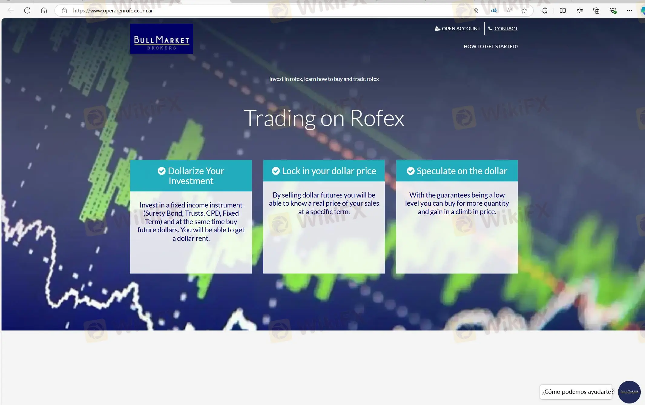 Bull Market's homepage