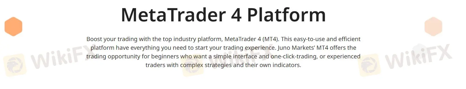 Trading Platform
