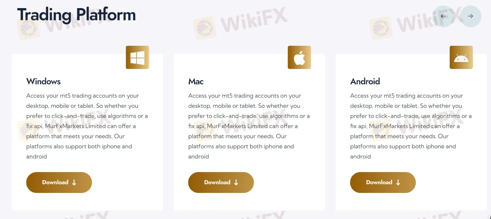 Mur Fx Markets Limited Plataforma Mur Fx Markets Limited Plataforma