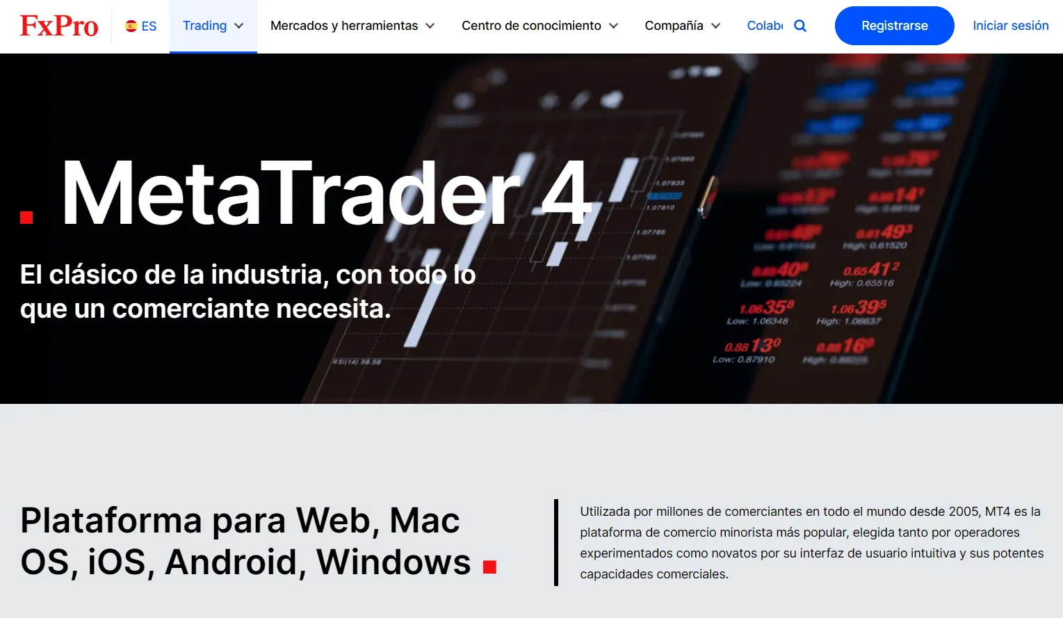 MT4