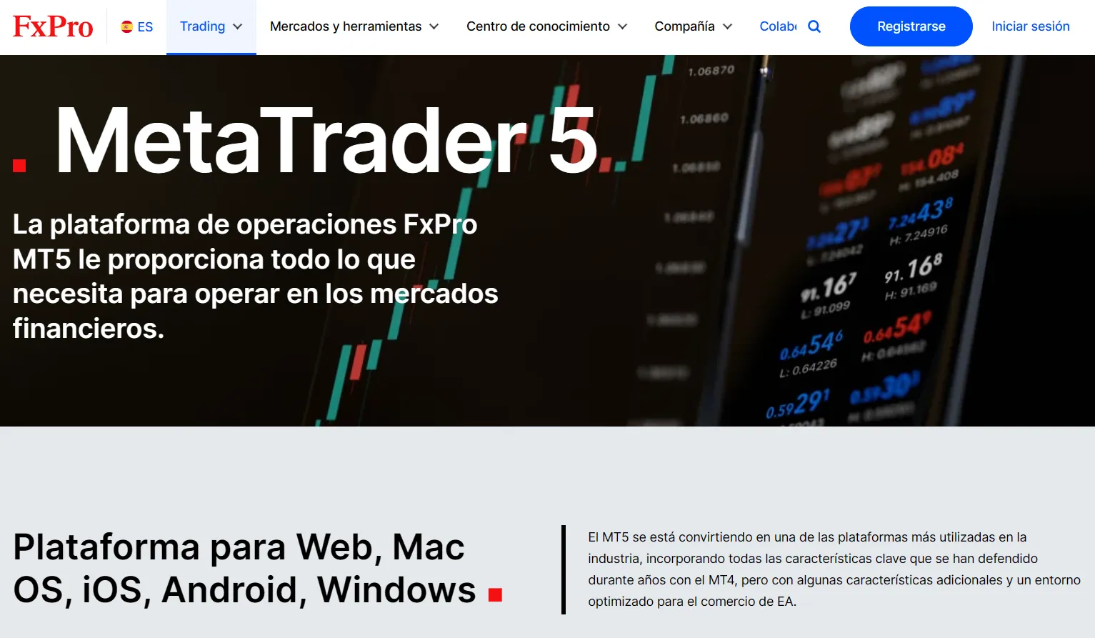 MT5