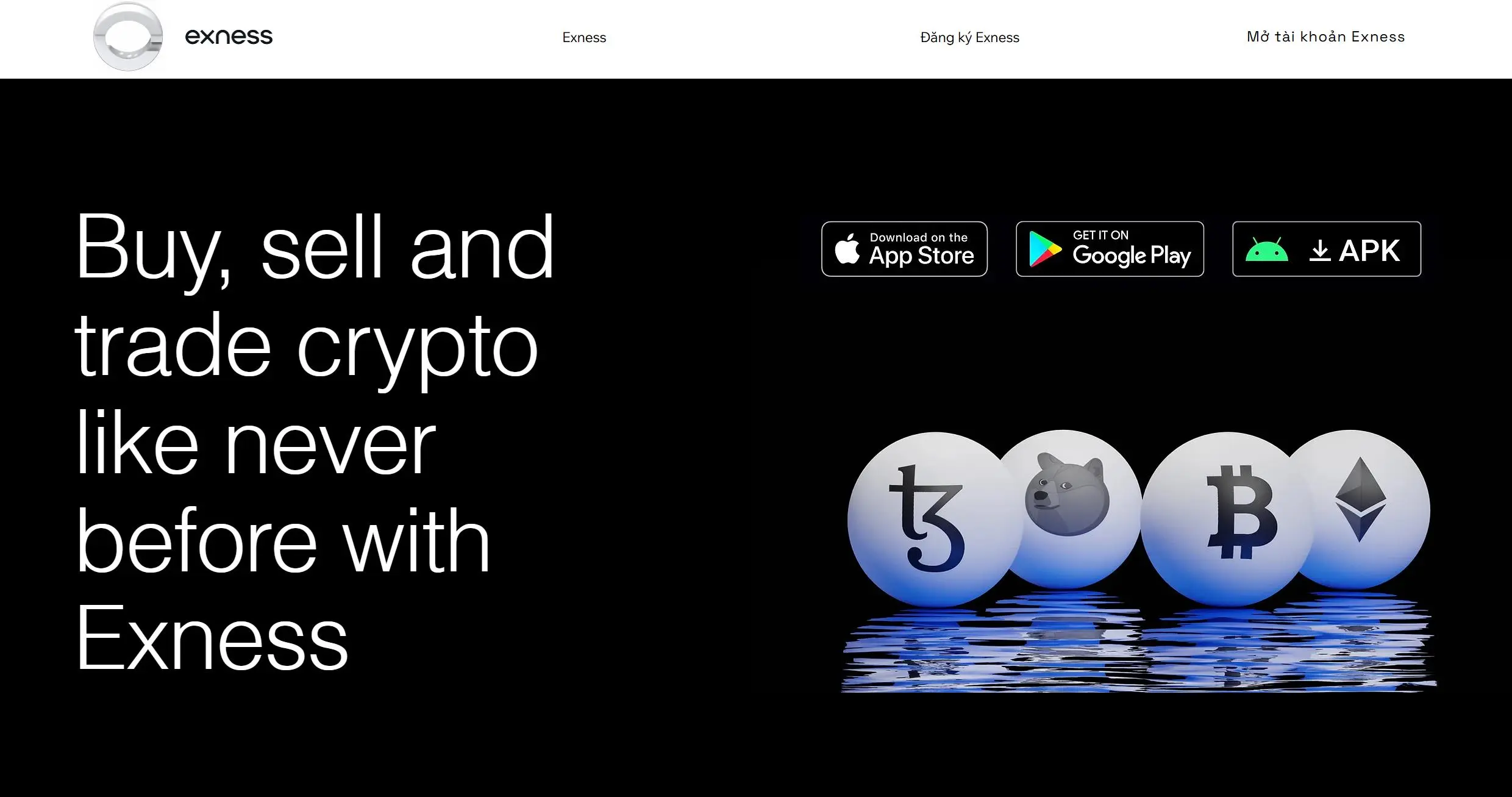 Ex Investment Information