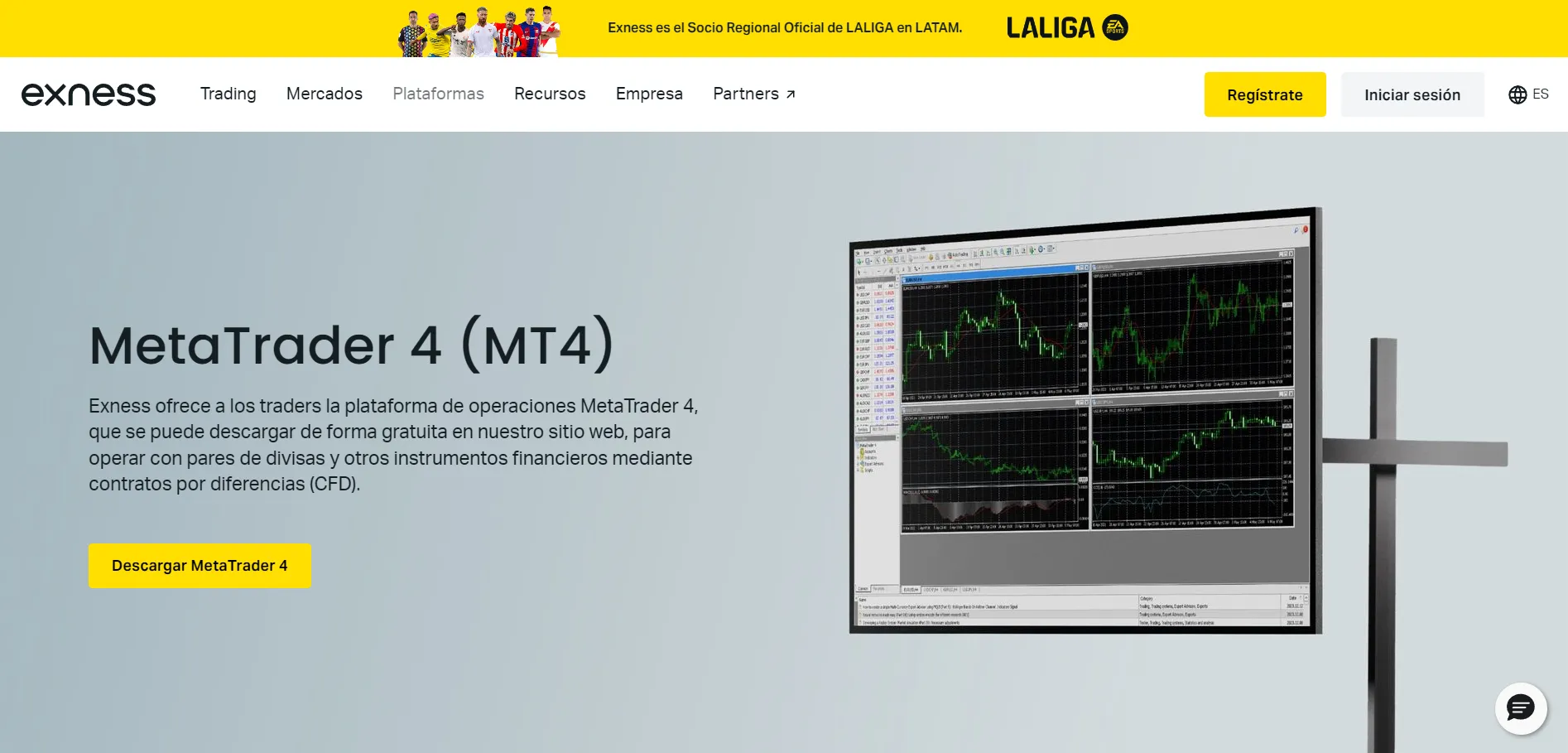 MT4 MT4