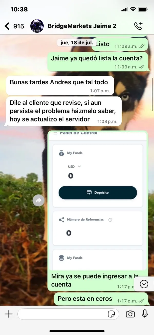 ¿Qué pasa con los retiros en Bridge Markets? ¿Qué pasa con los retiros en Bridge Markets?