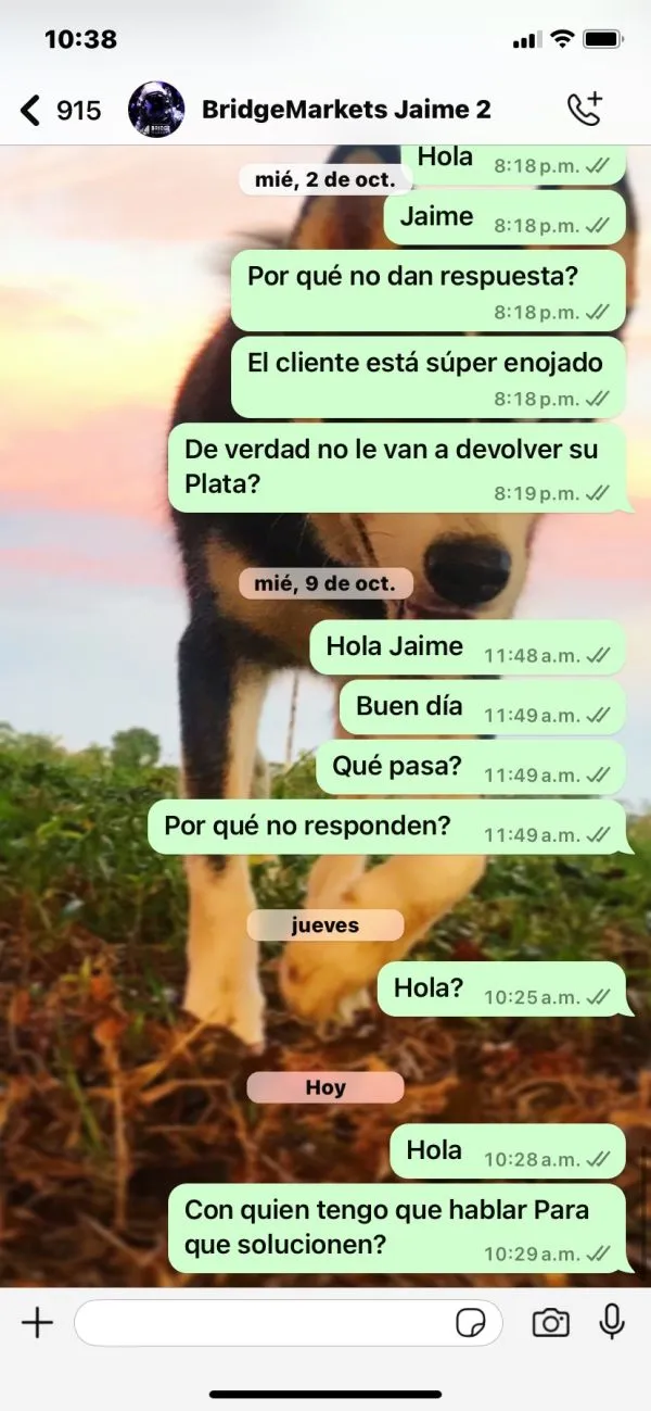 ¿Qué pasa con los retiros en Bridge Markets? ¿Qué pasa con los retiros en Bridge Markets?