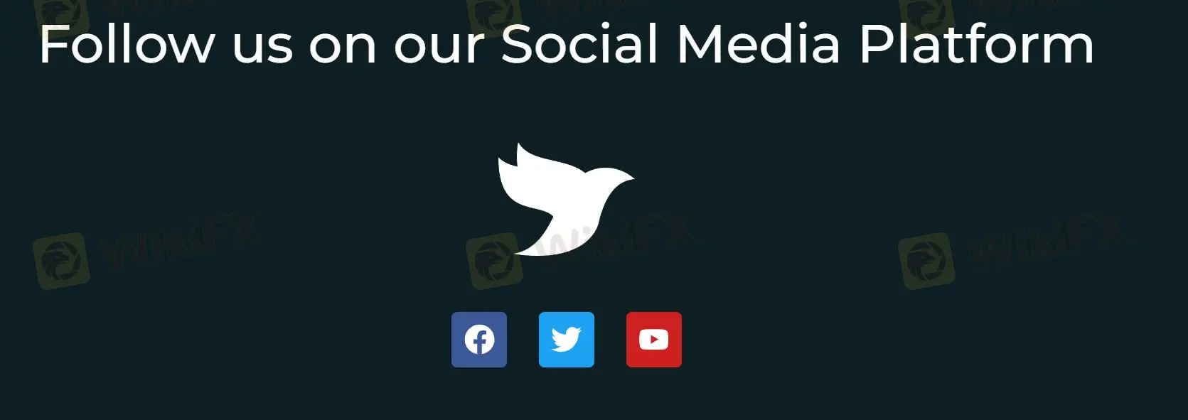 Customer Support Options