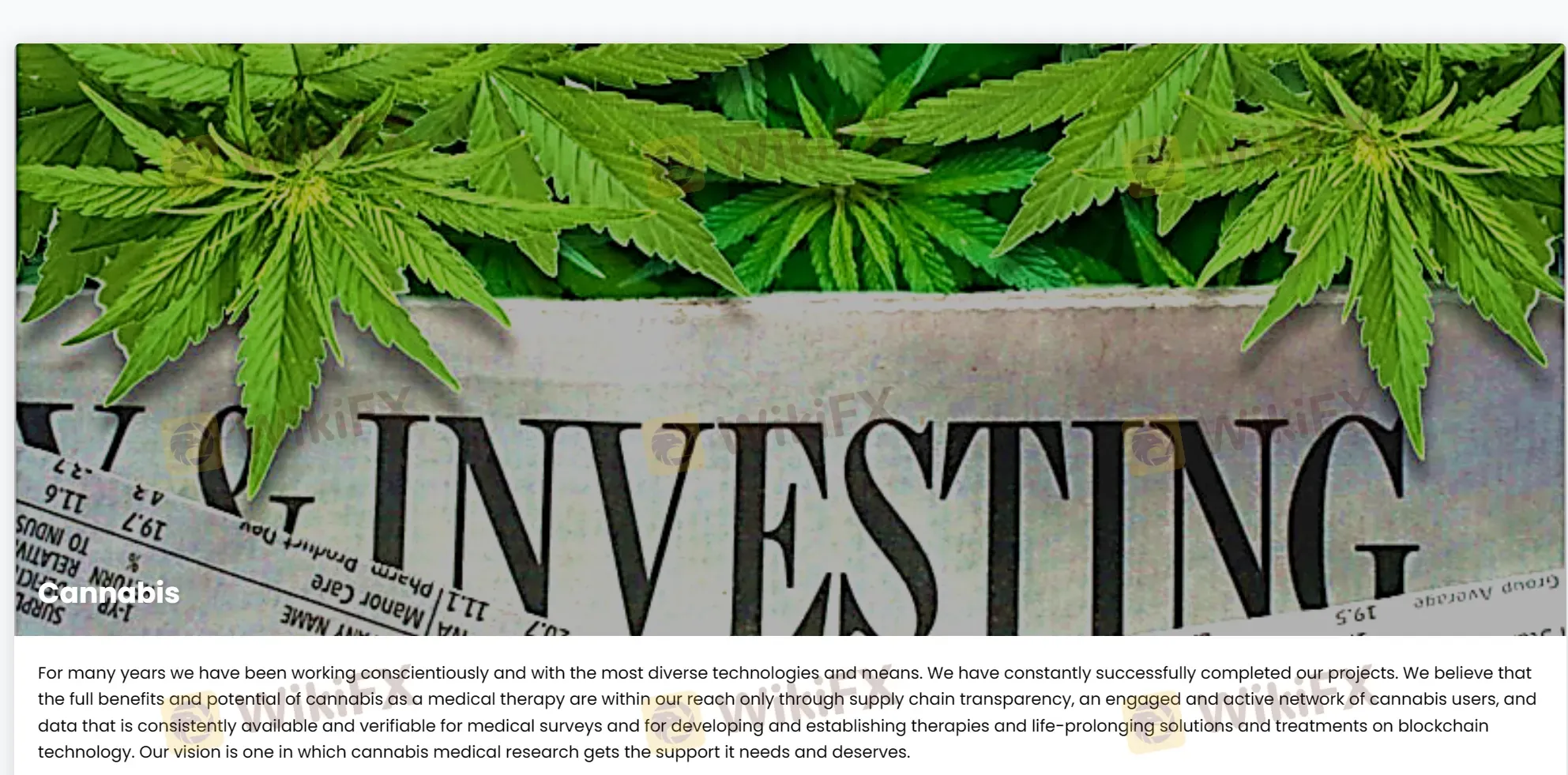 Cannabis