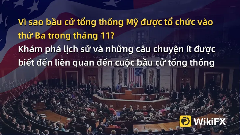 VN-800x450.jpg VN-800x450.jpg