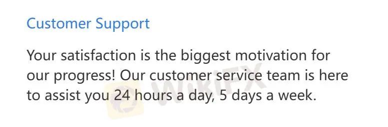 Customer Support Options