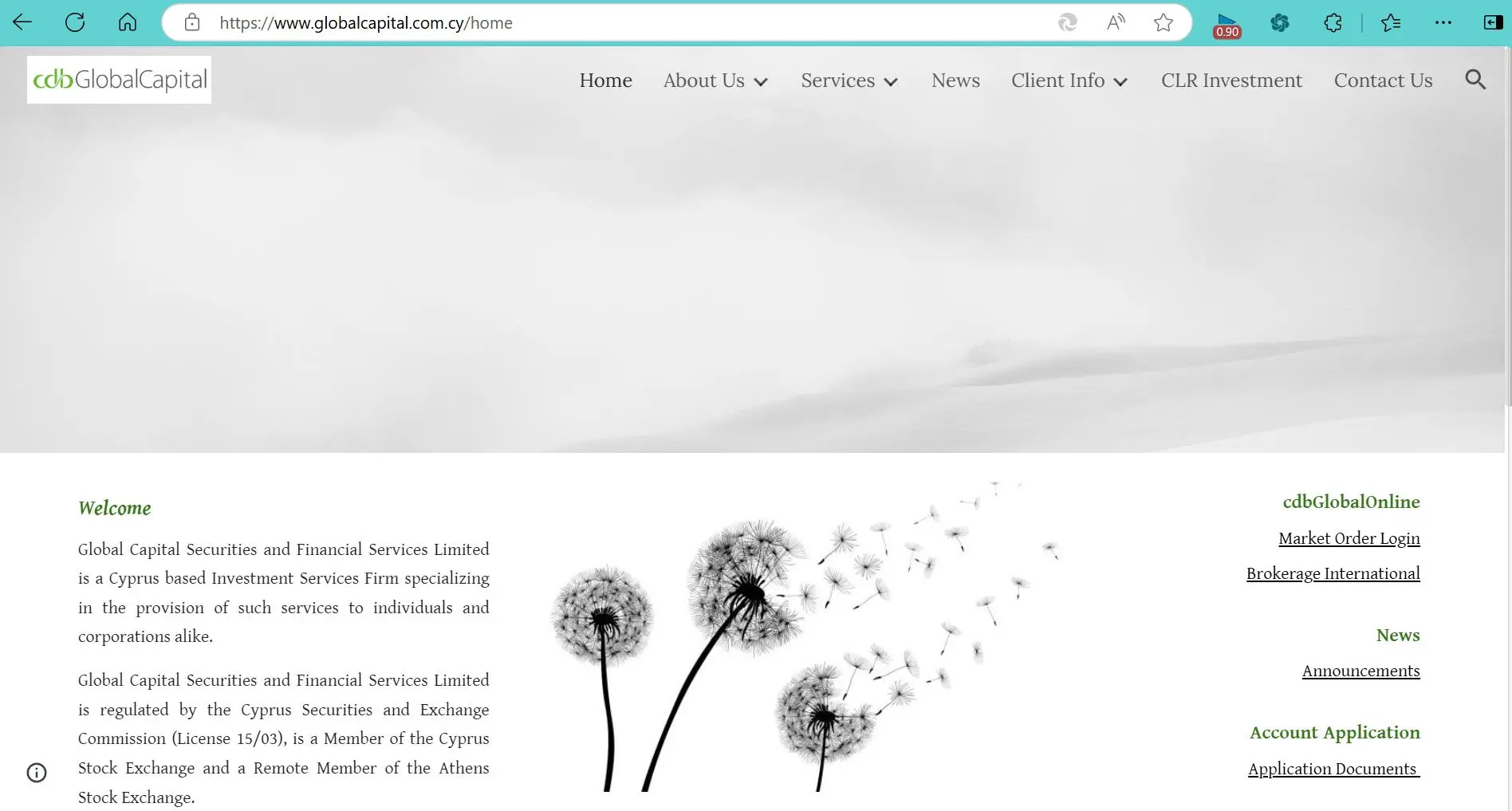 Global Capital Review Summary