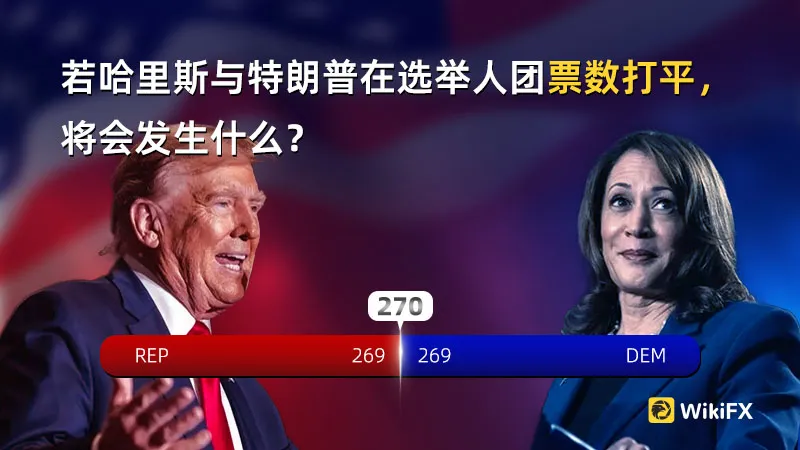 简中-800x450.jpg 简中-800x450.jpg