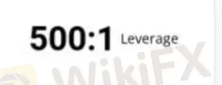 Leverage