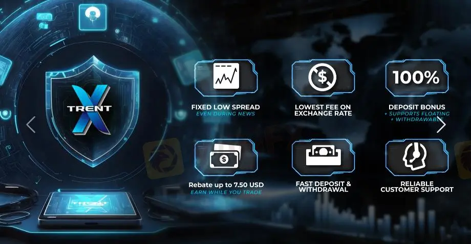 我可以在Trent Exchange上交易什么？