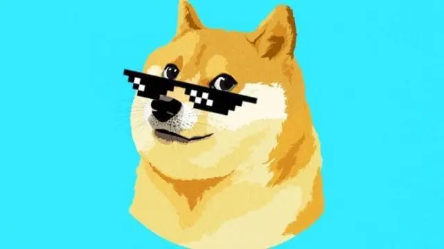 thumbnail.jpg