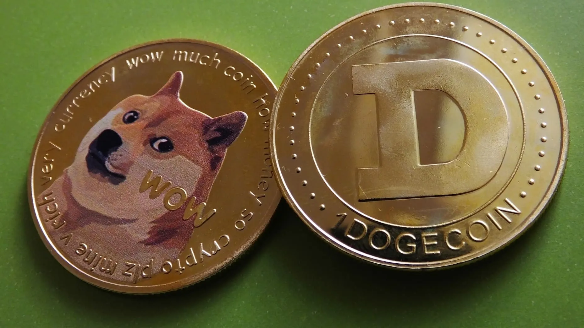 dogecoin.jpeg