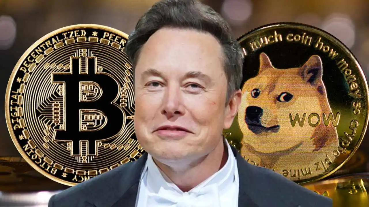 doge-and-elon-musk.jpg