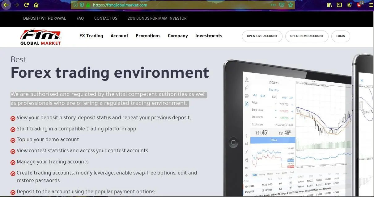 FTM Global Market的主页