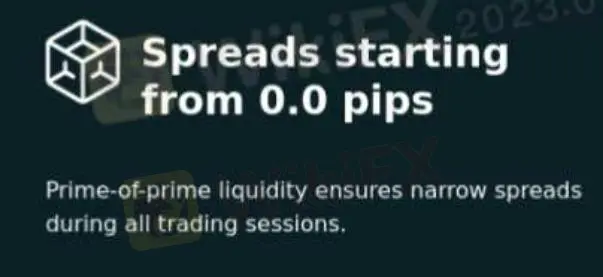 Capital Base费用 Capital Base费用