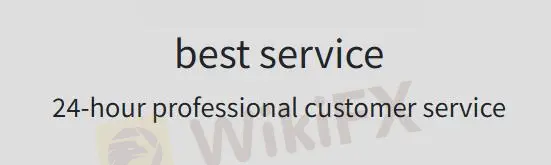 Options de Support Client