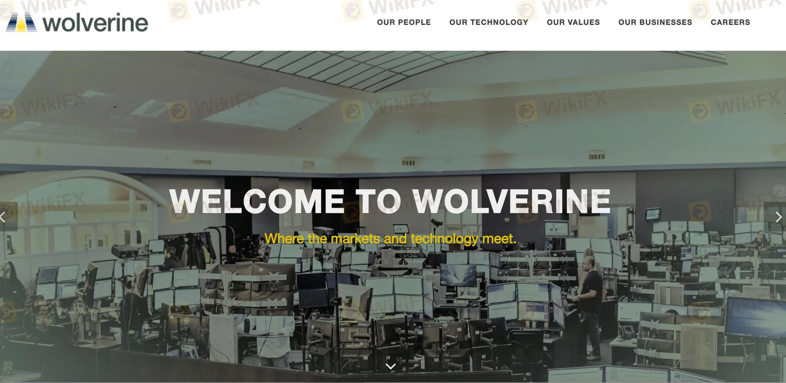 wolverine Information