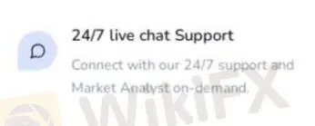 Customer Support Options