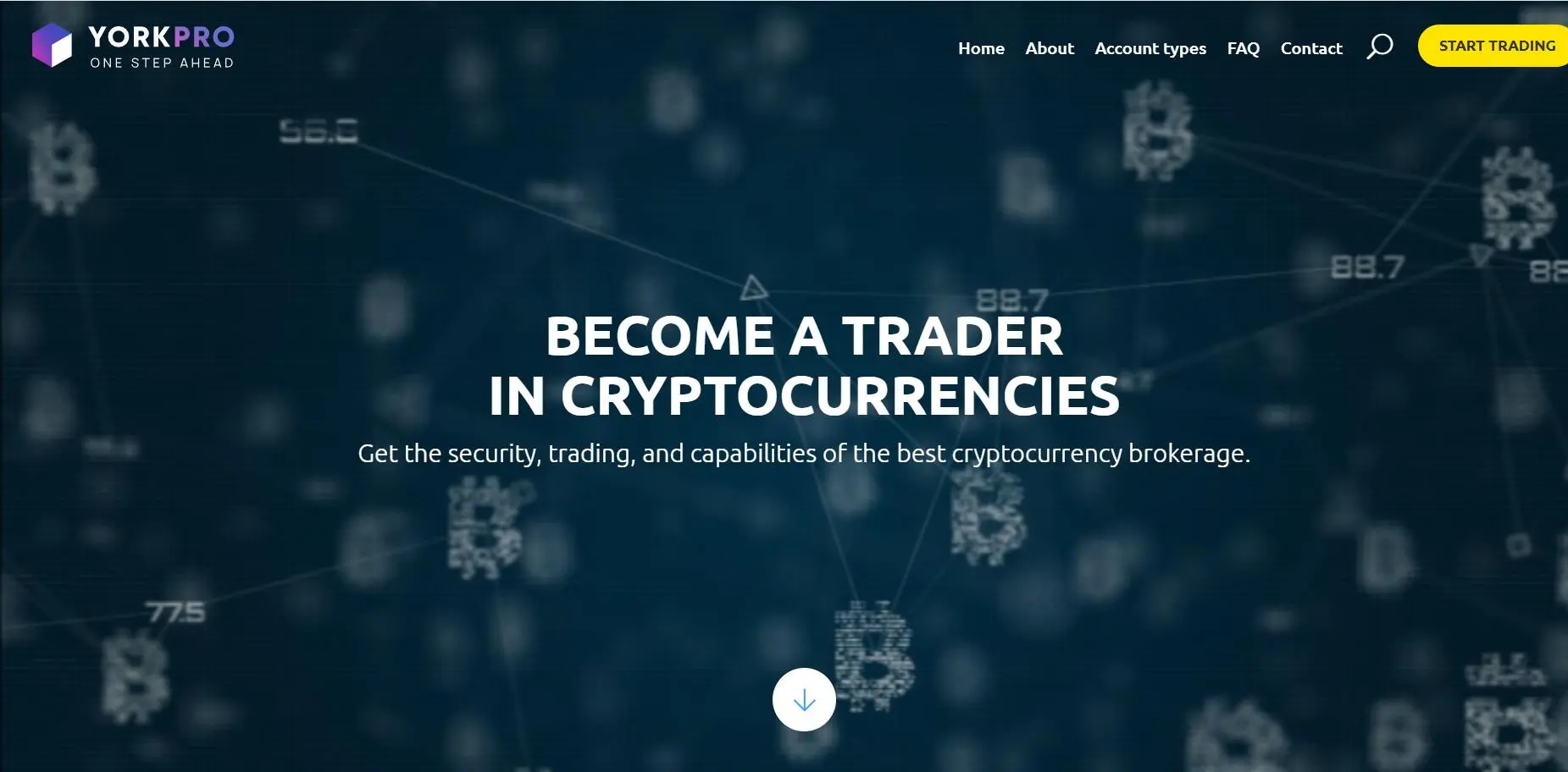 Yorkpro Information Yorkpro Information