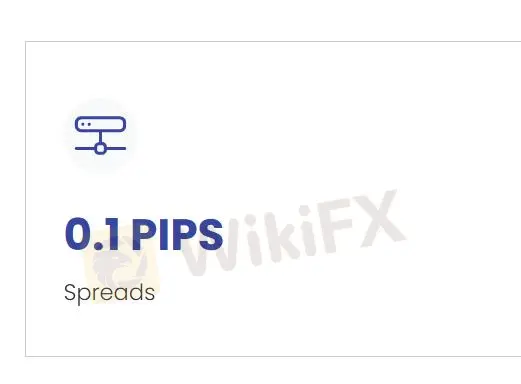 Phí của Sync Markets