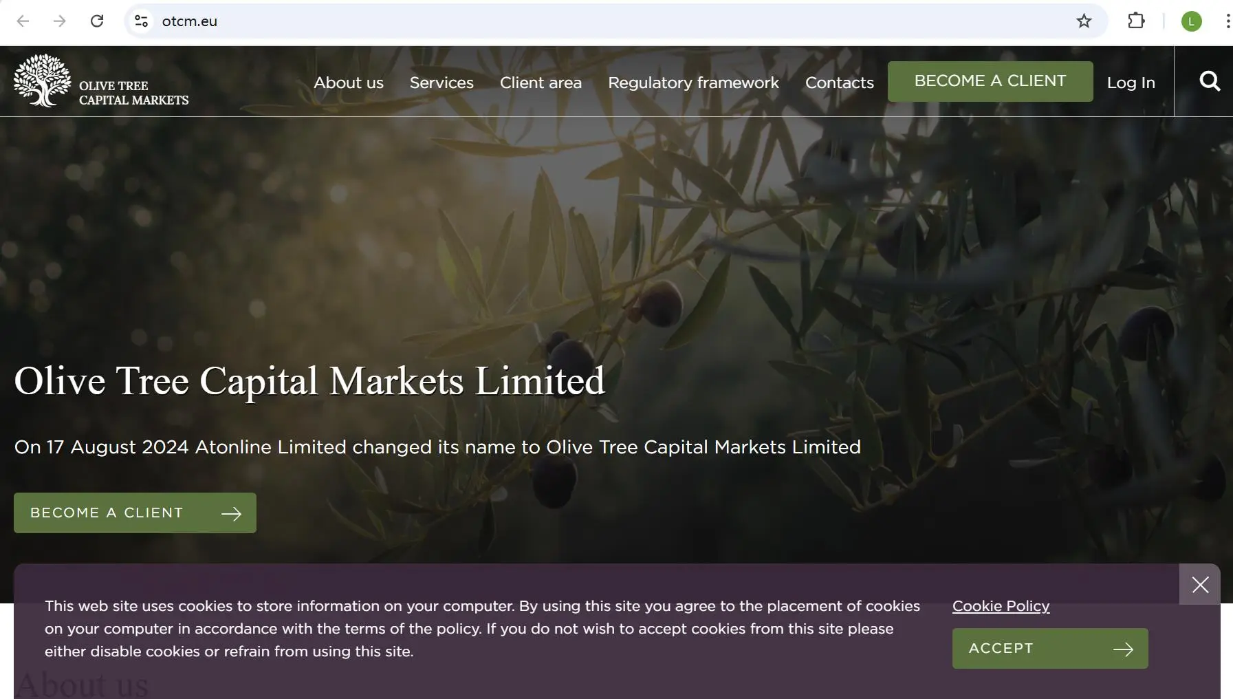 Olive Tree Capital Markets 主页